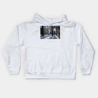 Winter Shadows Kids Hoodie